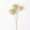 Sullivan's Dragon Spray, White Faux Floral Stem for Crafting, Weddings, Home and Holiday Decoration, 23 Inch